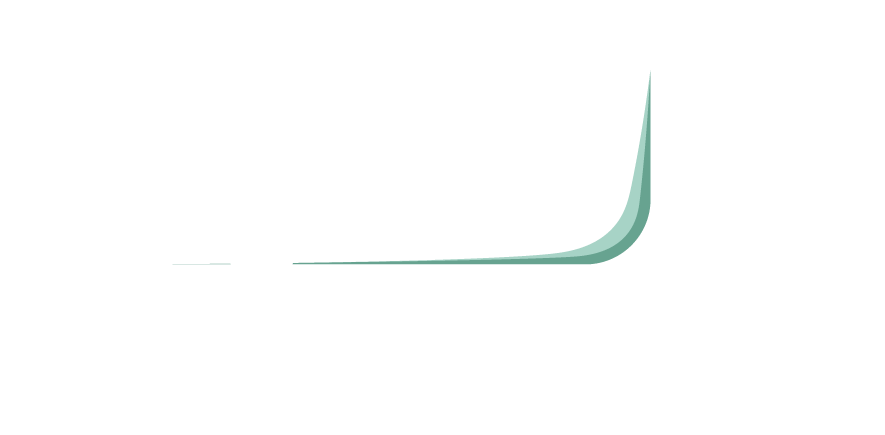 BSV Technology and Consultancy